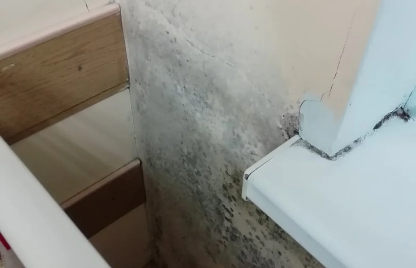 В стиле хоррор: севастопольскую Городскую больницу № 1 им. Н.И. Пирогова сравнили с адом