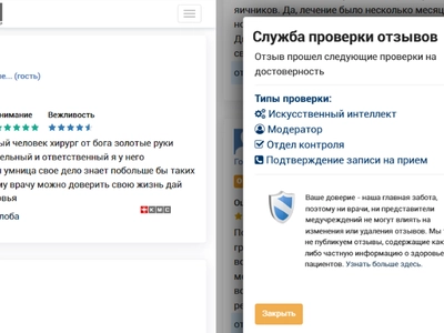 Интерфейс проверки отзывов