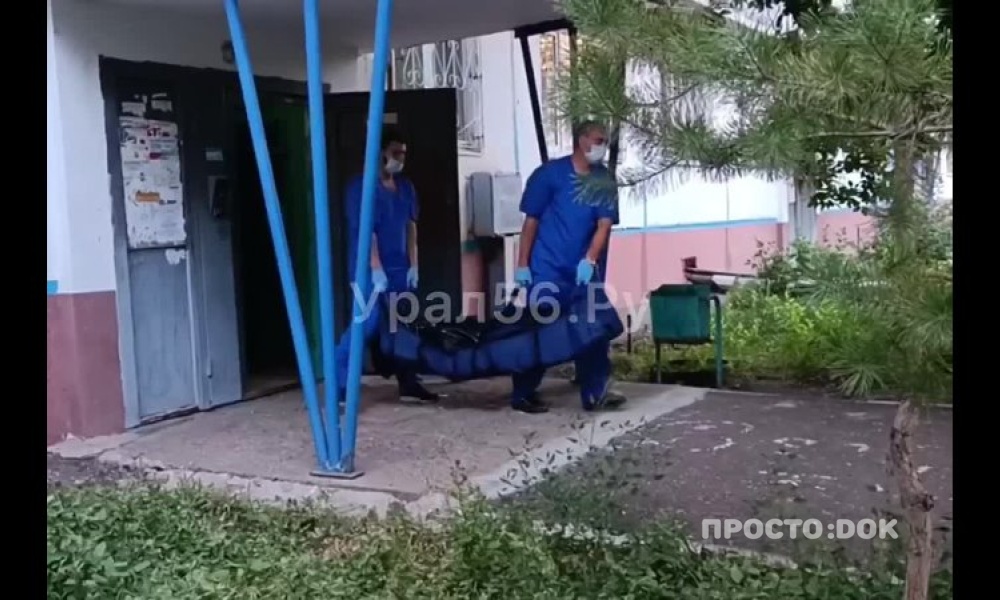 Опубликовано видео с места убийства врача в Оренбурге