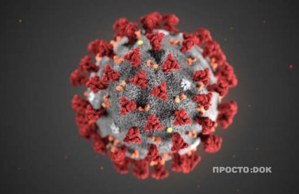 В Крыму ожидают роста выявления больных коронавирусом в ближайшее время